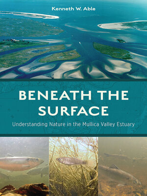 cover image of Beneath the Surface